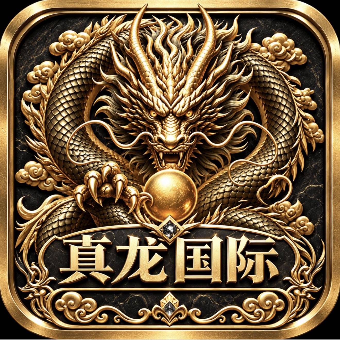 真龙国际